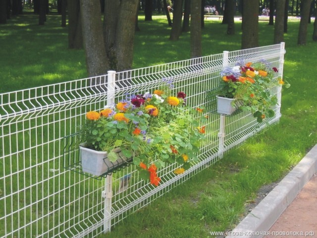 园林景区案例 - 安平县万基筛网有限公司图片4