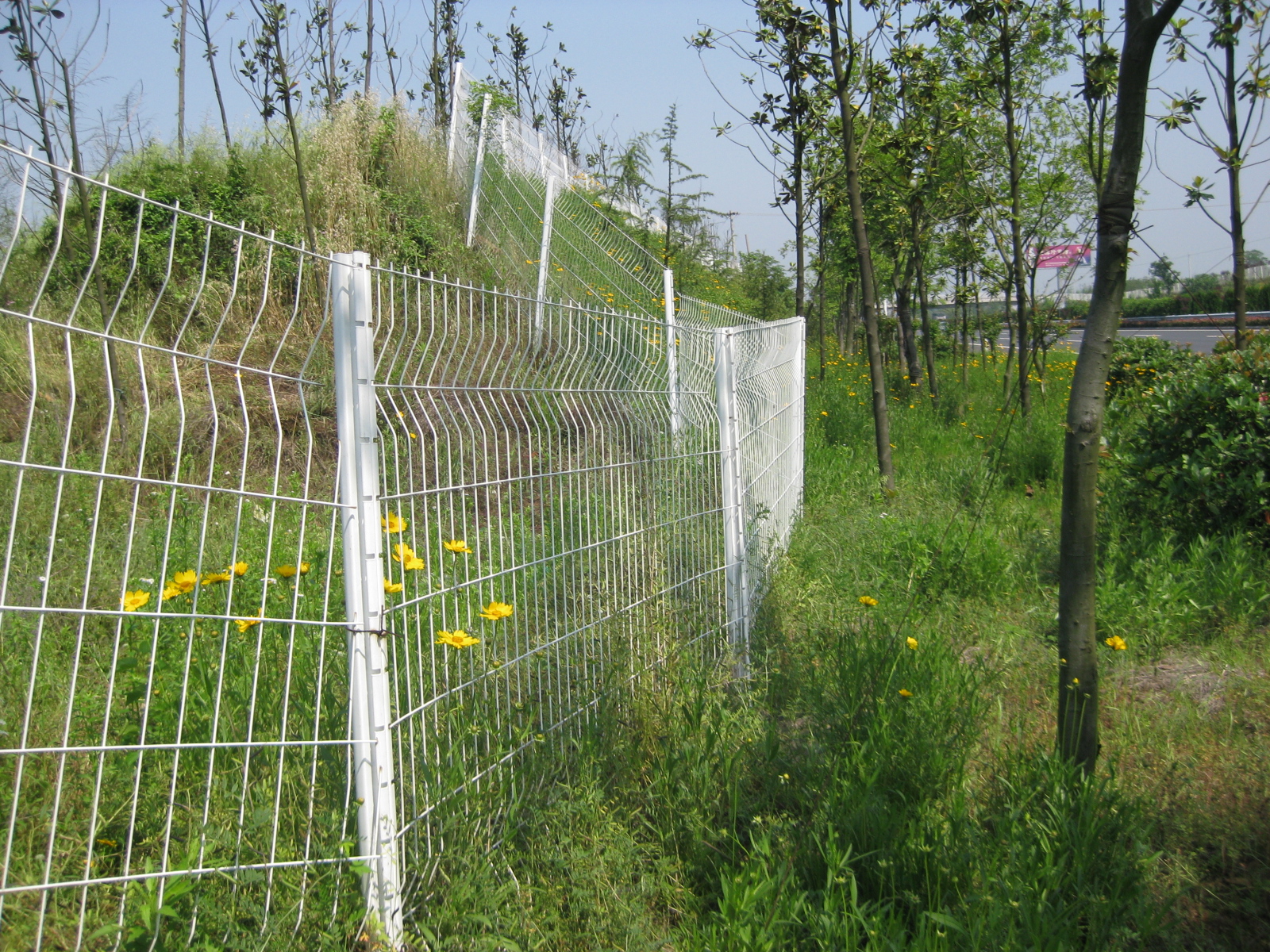 园林景区案例 - 安平县万基筛网有限公司图片6