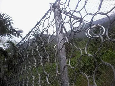 环形被动防护网 - 安平县万基筛网有限公司图片2